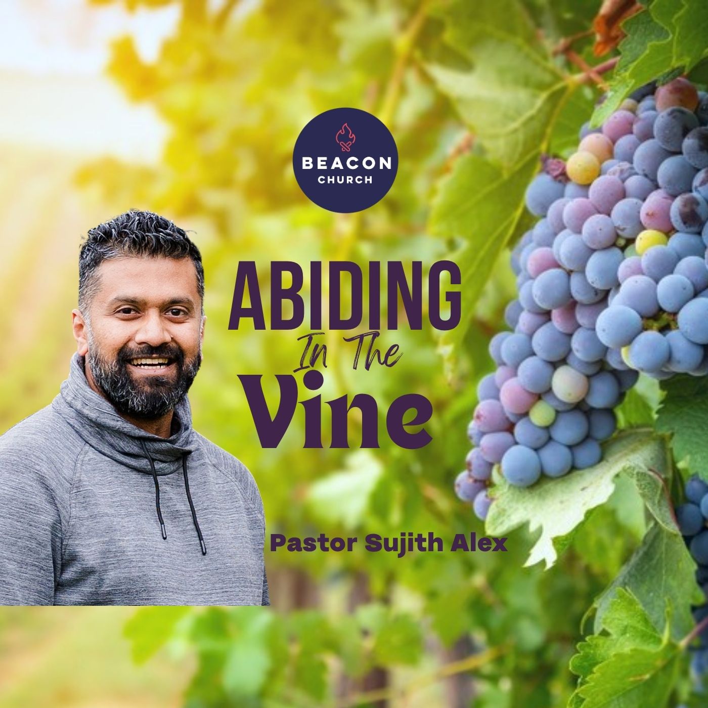 Abiding in the Vine